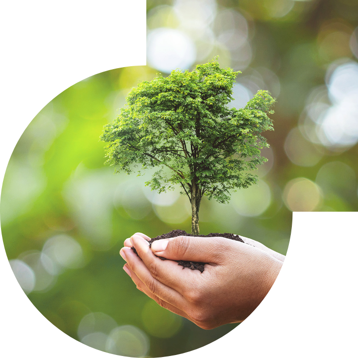 关怀人类、文化、环境与社会